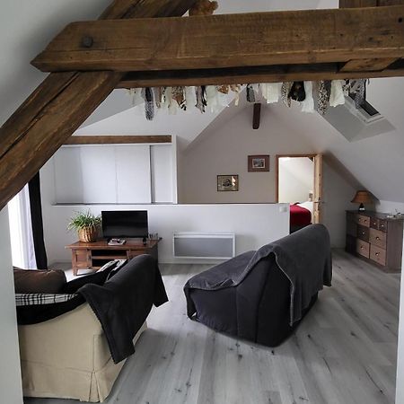 Appartamento Au Gré de L'Ill Les toits d'Horbourg Esterno foto