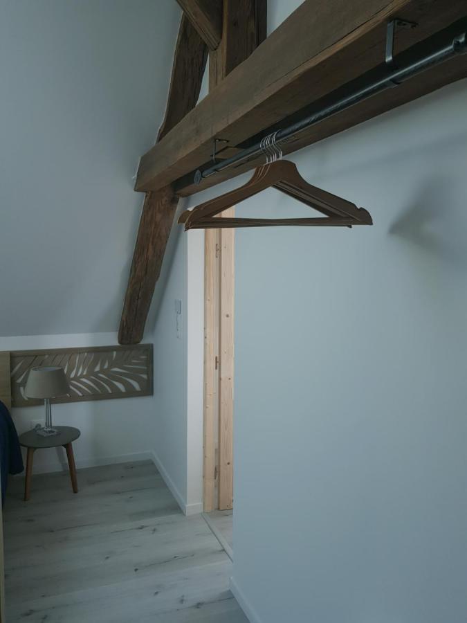 Appartamento Au Gré de L'Ill Les toits d'Horbourg Esterno foto