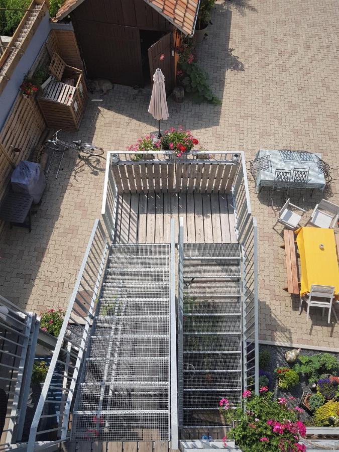 Appartamento Au Gré de L'Ill Les toits d'Horbourg Esterno foto