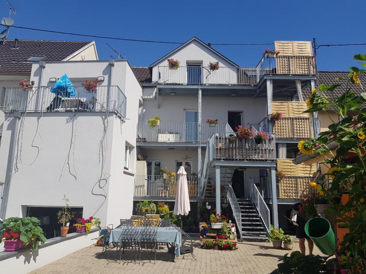 Appartamento Au Gré de L'Ill Les toits d'Horbourg Esterno foto